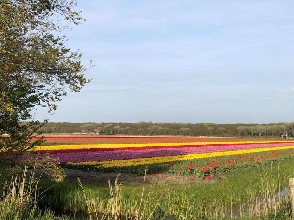Vila Meno Mosso Sint Maartensvlotbrug Exteriér fotografie