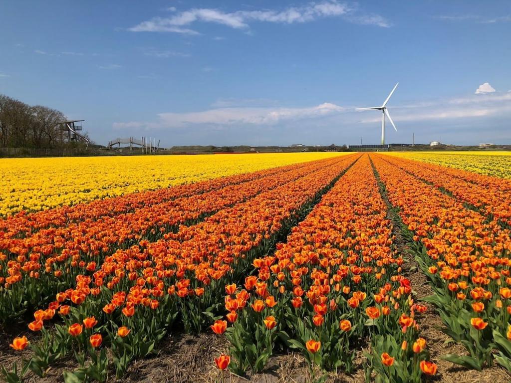 Vila Meno Mosso Sint Maartensvlotbrug Exteriér fotografie